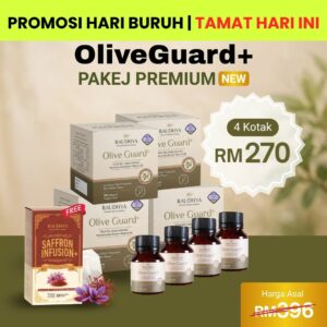 PAKEJ PREMIUM (PAKEJ BURUH)